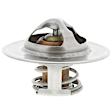2000-160 High Flow Series Thermostat