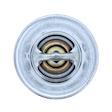 201-160 Thermostat