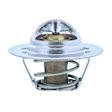 201-160 Thermostat