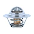 201-160JV Thermostat
