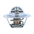 201-192 Thermostat