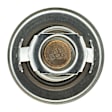 202-198 Thermostat