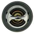 204-160 Thermostat
