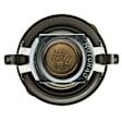207-180 Thermostat