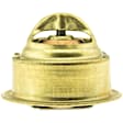 210-160 Thermostat
