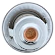 212-195 Thermostat