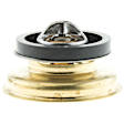 218-160 Thermostat