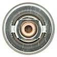 219-160 Thermostat