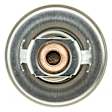 219-180 Thermostat