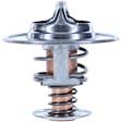228-160 Thermostat