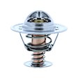 228-195JV Thermostat