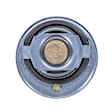 239-192 Thermostat