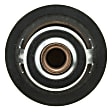 243-180 Thermostat