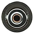 243-195 Thermostat