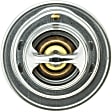 244-160 Thermostat