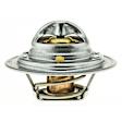 244-192 Thermostat