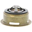 245-160 Thermostat