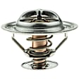 246-160 Thermostat
