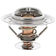 246-160 Thermostat