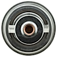 246-180 Thermostat