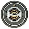 265-192 Thermostat