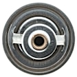 269-174 Thermostat