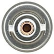 298-170 Thermostat