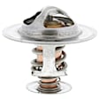 298-192 Thermostat