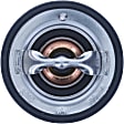 299-189 Thermostat