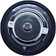 299-189 Thermostat