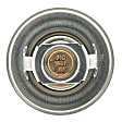 300-160 Thermostat