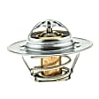 300-195 Thermostat