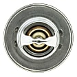 300-195 Thermostat