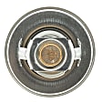300-195 Thermostat