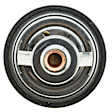 301-170 Thermostat