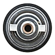 301-180 Thermostat
