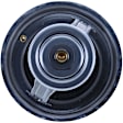 304-176 Thermostat
