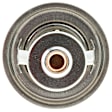 304-198 Thermostat