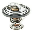307-160 Thermostat