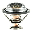 307-160 Thermostat