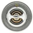 319-180 Thermostat
