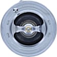 373-194 Thermostat