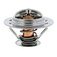 383-192 Thermostat