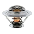 383-205 Thermostat