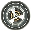 418-170 Thermostat