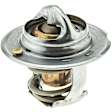 419-195 Thermostat