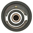 441-170 Thermostat
