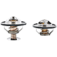 447448 Thermostat
