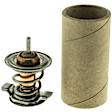 466-198 Thermostat