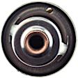 2007 Buick Terraza - Thermostat, 6 Cyl 3.9L, Temperature 195F; Higher Alternate Temperature Replacement